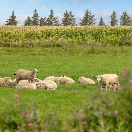 Ewelina - 15km From The Sea By Interhome