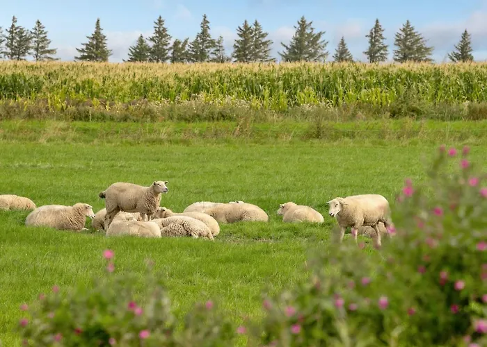 Ewelina - 15km From The Sea By Interhome